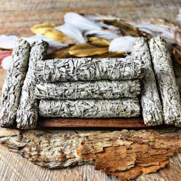 Organic Large White Sage Smudge (22-24cm)- Tool Rolled- 10 PACK